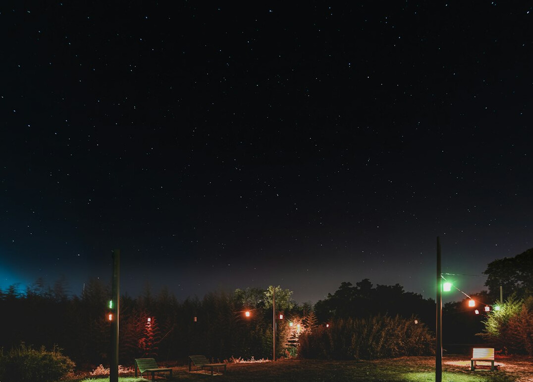 suspenseful night scene